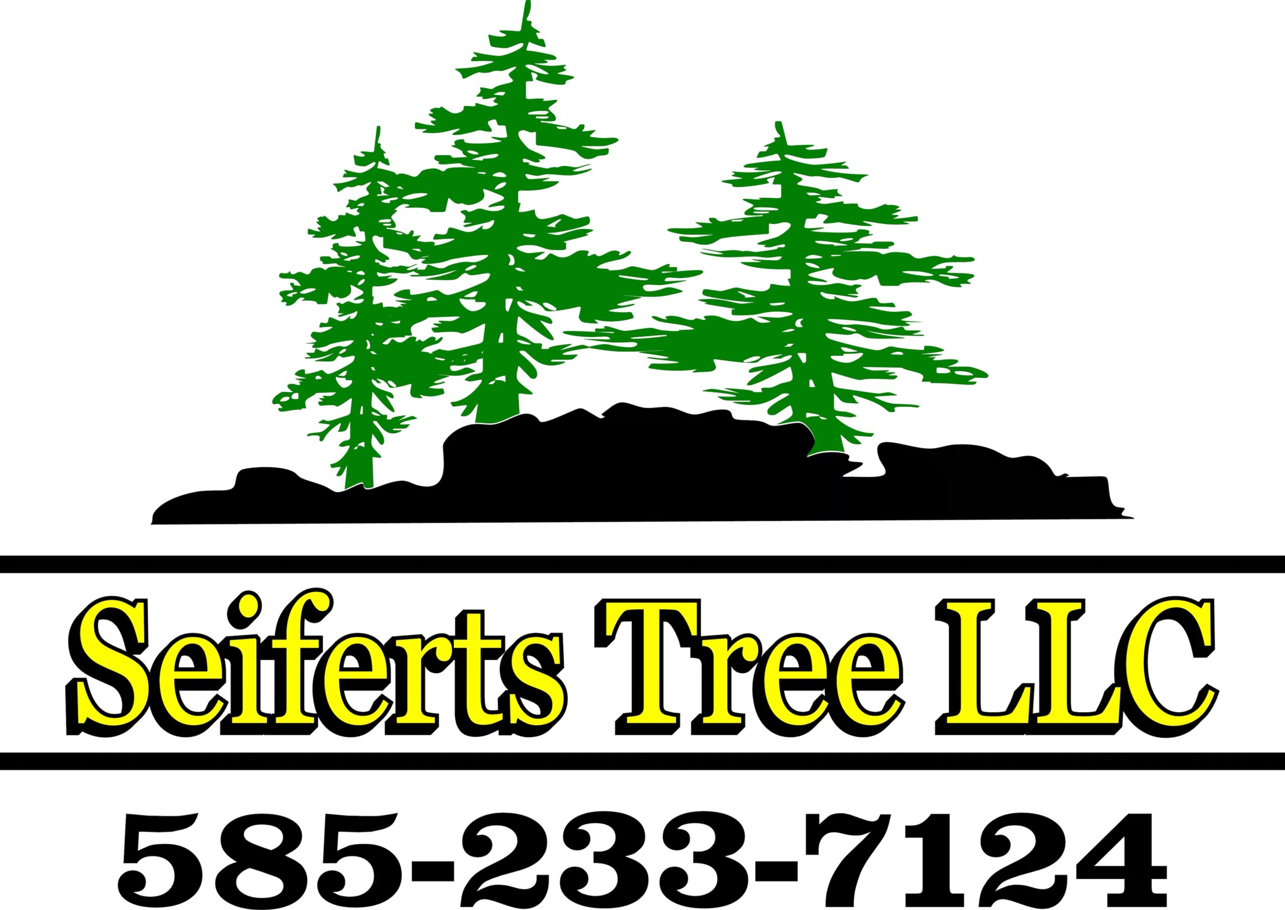 Tree Cutting Service in Livingston County, NY | Seiferts Tree LLC